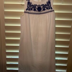 J. Crew Blue & White Dress